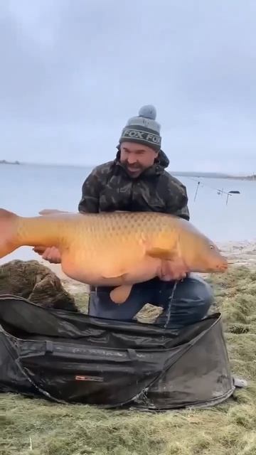 Такой красавец — мечта каждого рыбака