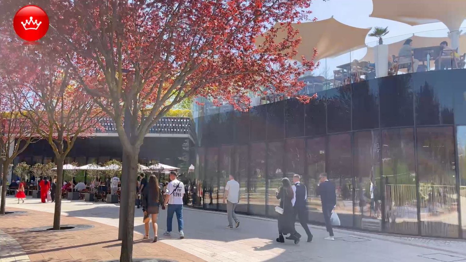 😍Парк Галицкого в Краснодаре встречает посетителей весенним цветением 2026.