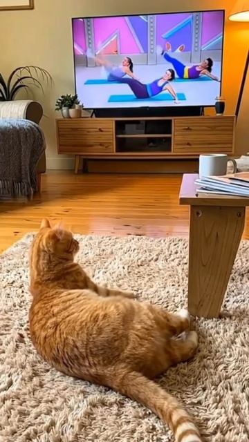 СТЕПАН НА ЗАРЯДКЕ