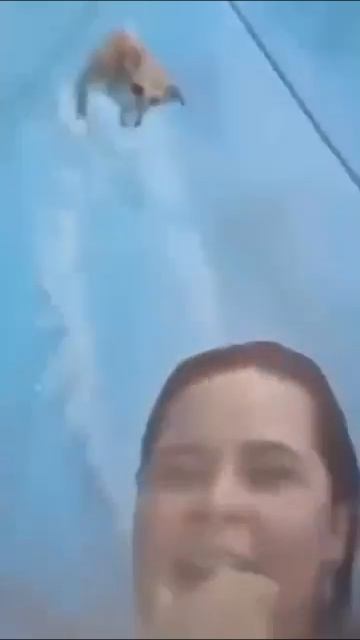 Куда жеж без меня 😁?))