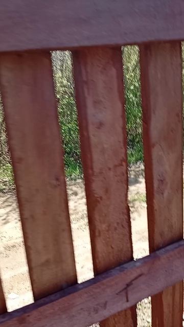 пропитка для дерева Wood Finish