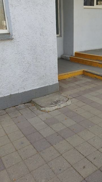 Сегодня мотаюсь по поликлиникам по вопросам лечения. А вечером надо думать о помощи животным.