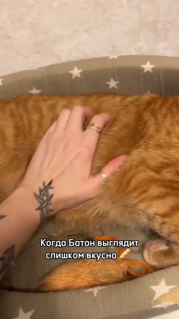 Вкусные Батон и Корж каждый день