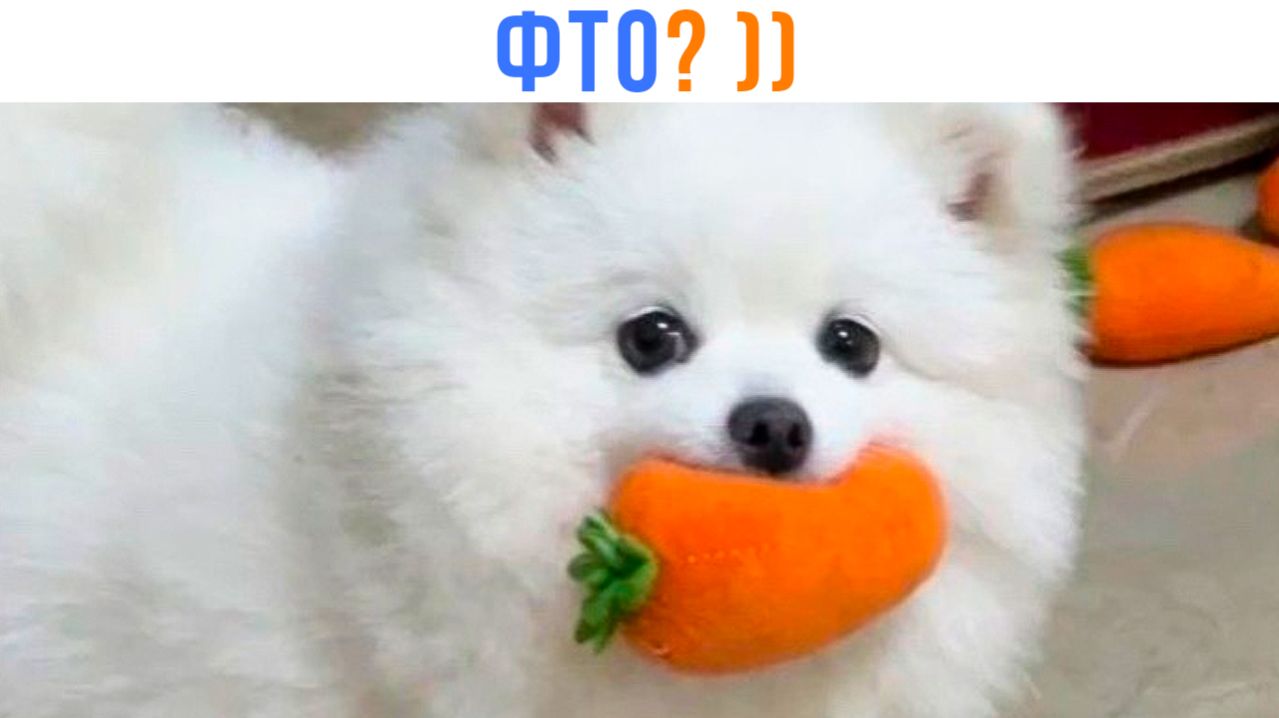 ФТО? ))) Приколы | Мемозг 1744