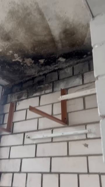 Удаление плесени в Москве и Московской области