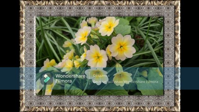 Ботанічний   2026