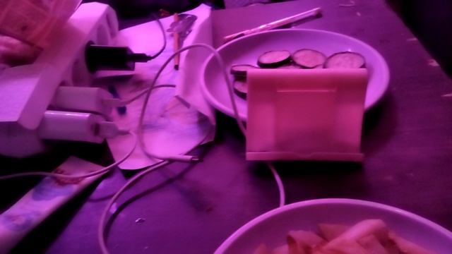 тутор как есть еду