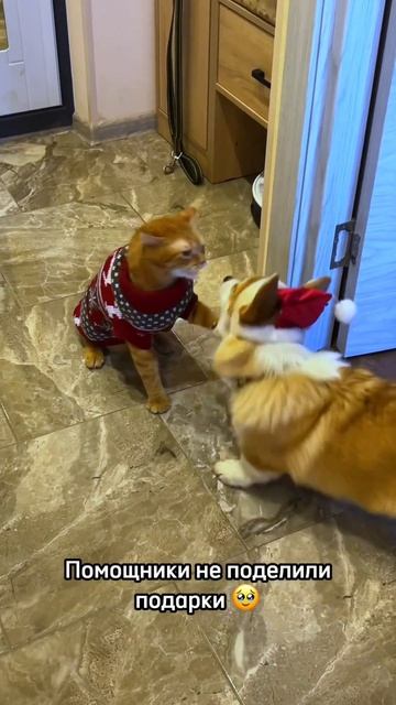 Такие смешные, я не могу  Подписывайся, чтобы не пропустить их