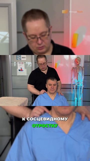 Анатомия и функции грудино-ключично-сосцевидной мышцы (ГКС)