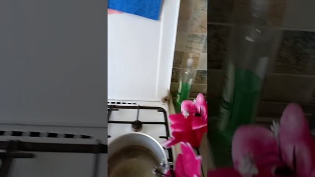 отпариваем цветы над кипящей водой