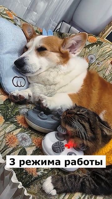 Артикул Я.Маркет 👉 YM10335913 (не забудь при поиске YM)