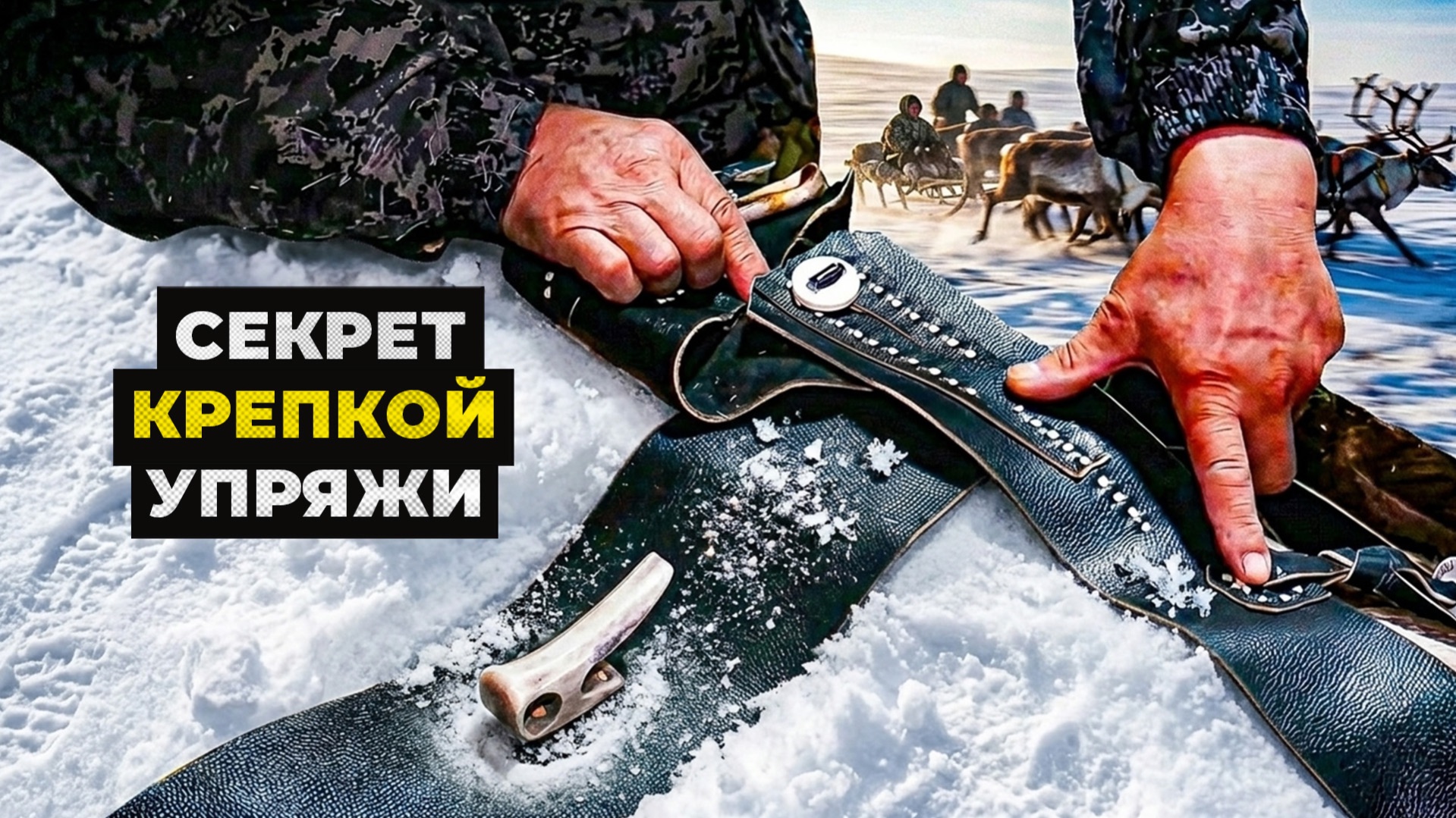 Как запрячь оленя: секреты ненецких мастеров, о которых не знают в городах