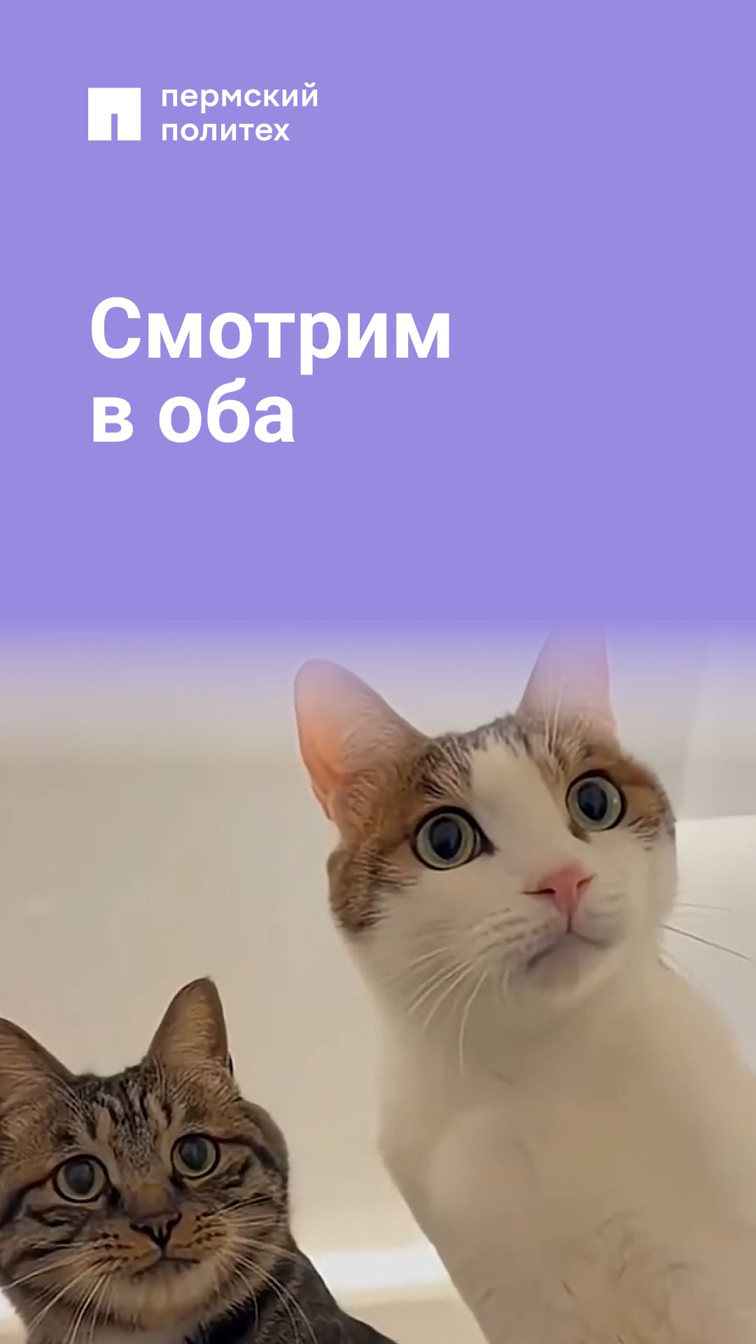 В такие моменты важно ничего не упустить