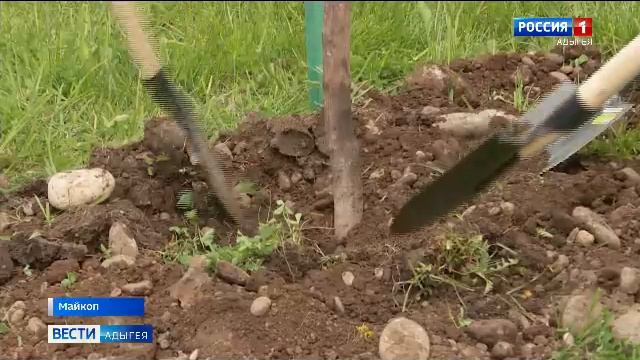 11.30 – «Вести. Адыгея» от 17.04.2026г.