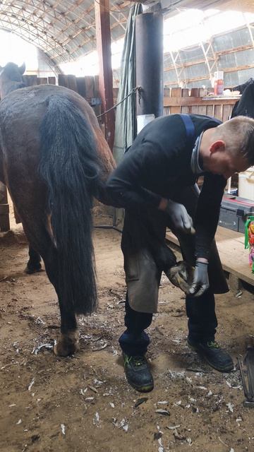 Аквилон встречает весну, Саша наш лучший коваль.