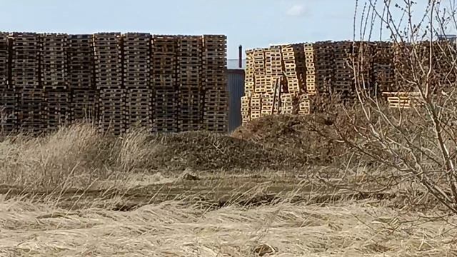Стена поддонов другой ракурс. Интересные места в России
