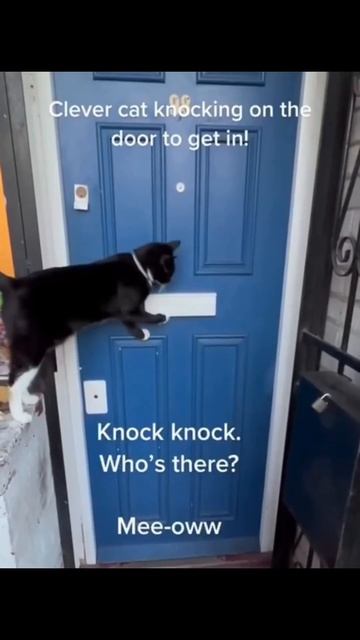 Открывайте, я пришел!