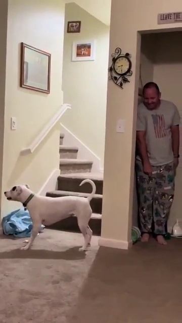 Прятки-догонялки☺))