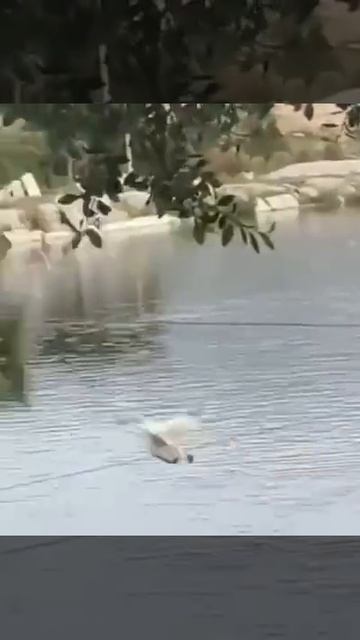 Поверила в себя