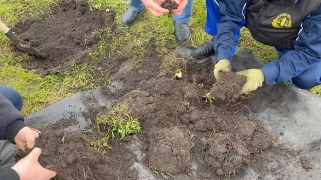 Проведены совместные раскопки на кубышки саранчовых в ЛНР и Ростовской области