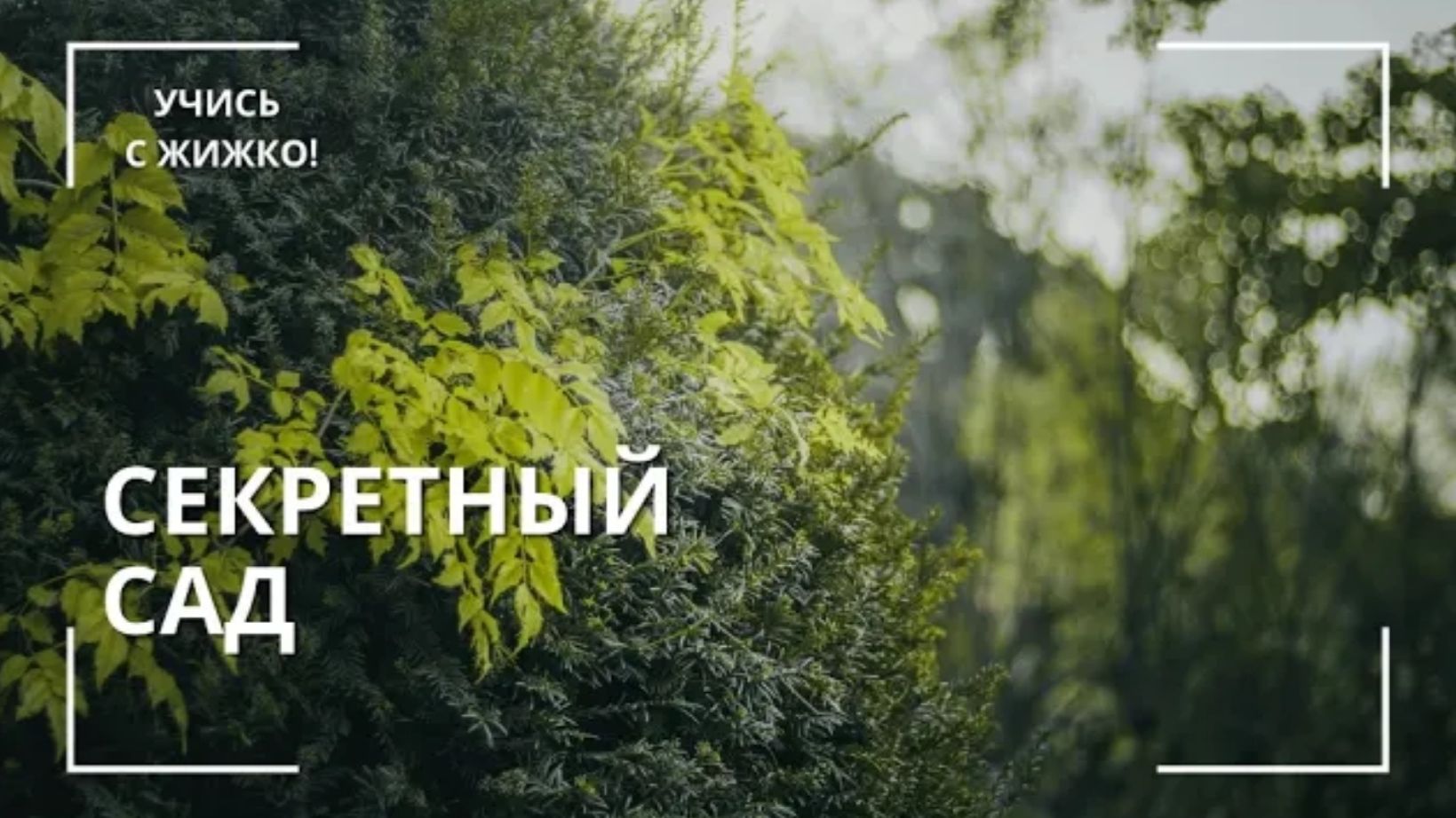 Урок Весна Секретный сад Каркасный букет из корнуса с Натальей Жижко