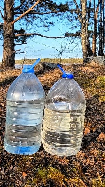 Сок берёзовый