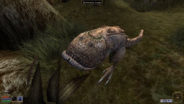 Openmw 2026-04-17 15-33-15-967