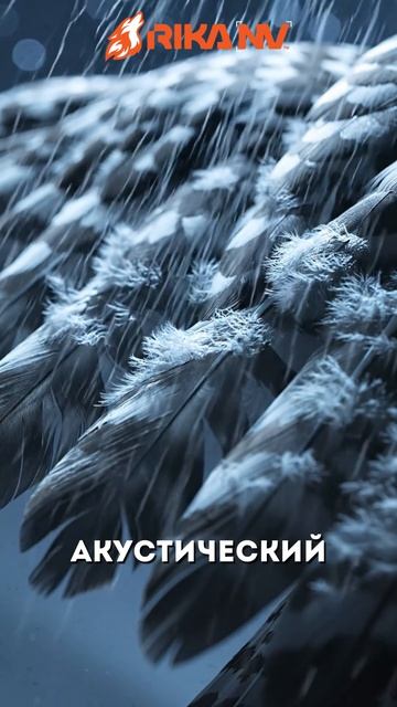 RikaNV познавательный: Сова — бесшумный охотник. Секреты идеальной ночной охоты природы