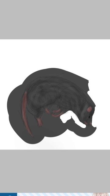 устраиваю мап про Костезвёзда!ВСЕ ЧАСТИ НАПИСАНЫ В КОММЕНТАРИЯХ!!!