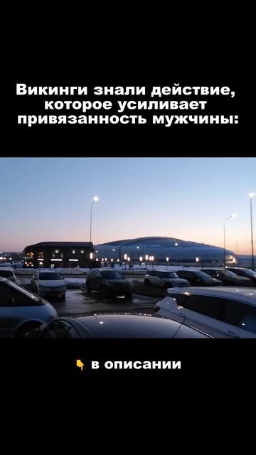 Викинги знали действие