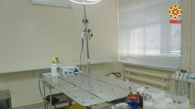 В рамках народной программы до 2030 года в Чувашии планируют построить 11 кабинетов для животных
