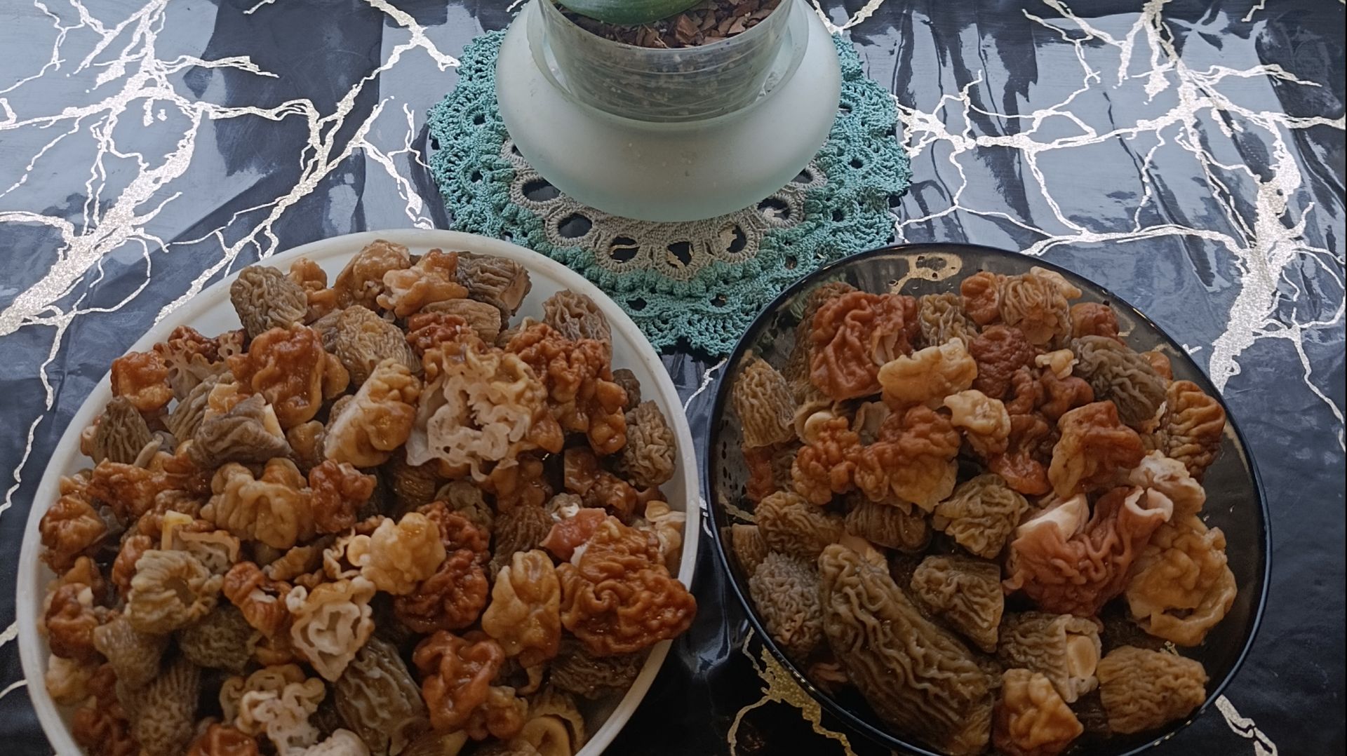 Сбор грибов в апреле 2026, тихая охота.