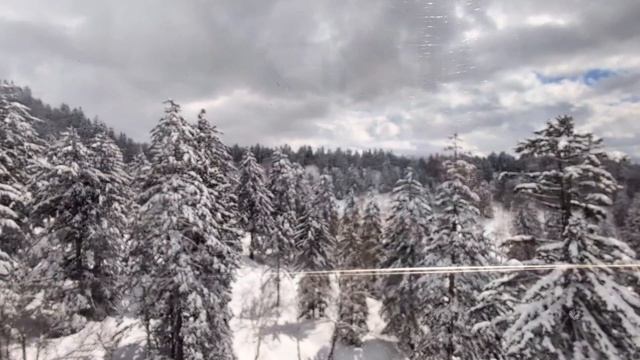 74.Зимняя драма, для разнообразия 😊.