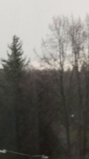 хорошая погода в Тамбове 2