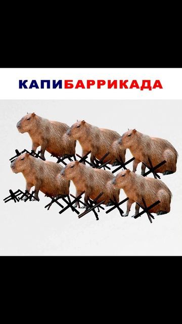 Лютые мемы. Смешной перевод