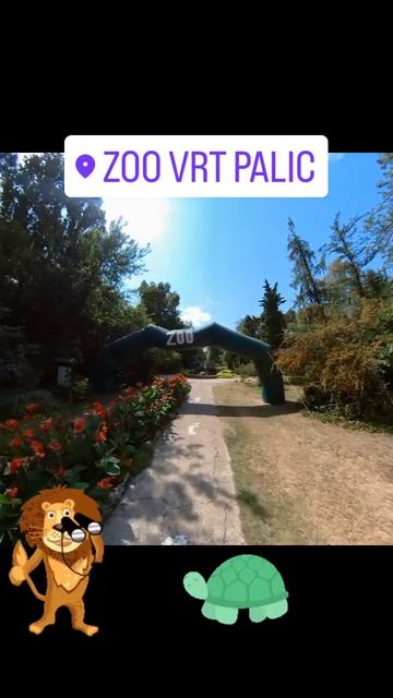 Zoo Palic   Zooloski Vrt Palic Subotica 360 Video  #travel #balkantrip #touristattraction #drone