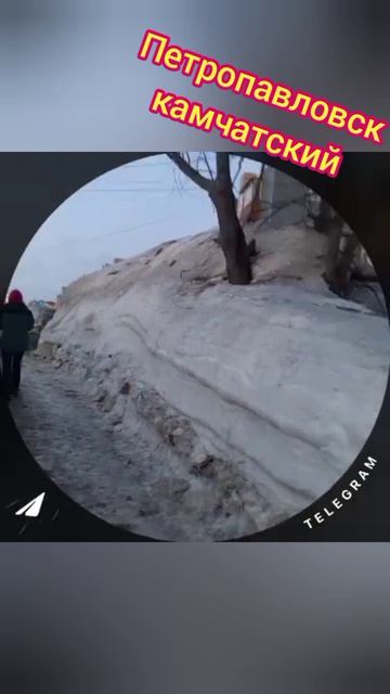 Улицы Петропавловск камчатский 17 апреля 2026г