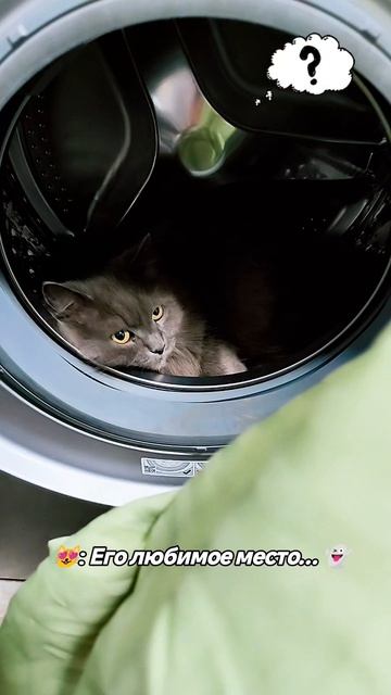 😂😂😂😂😂😂😂😂