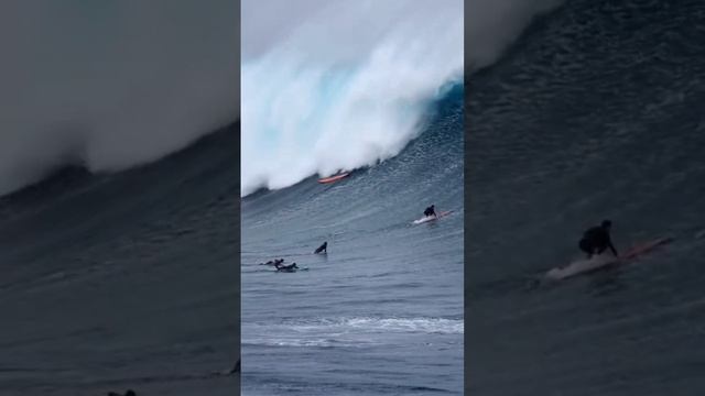 сёрфинг безбашенный.mp4