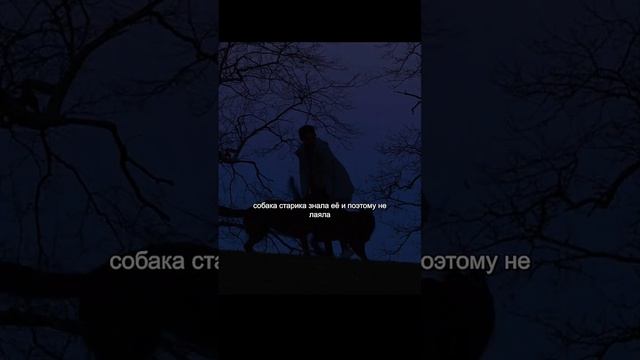 фильм на вечер