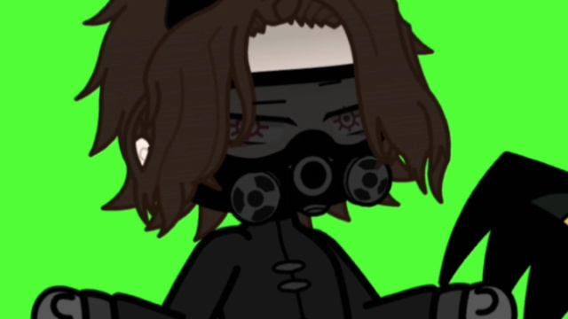 два новых перса! и если что, они родные братья