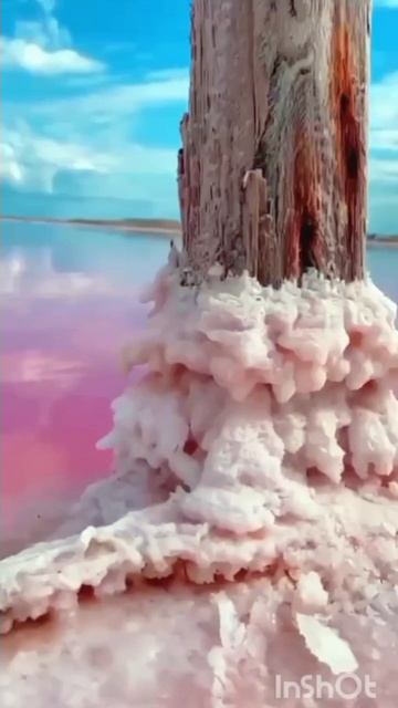 Ba25cbfb2acc17d249bc16c2f13cd373