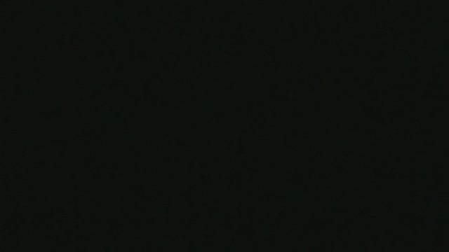 18)Б ПАРК ПОБЕДЫ ЗООПАРК