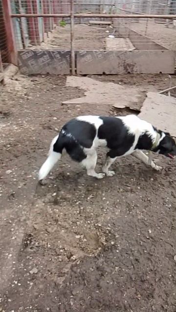 1bce97714b89b65e7a7b062c5d5ce4a2