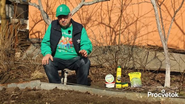 СМОРОДИНА И КРЫЖОВНИК БУДУТ УСЫПАНЫ ЯГОДАМИ, если сделаете так весной!