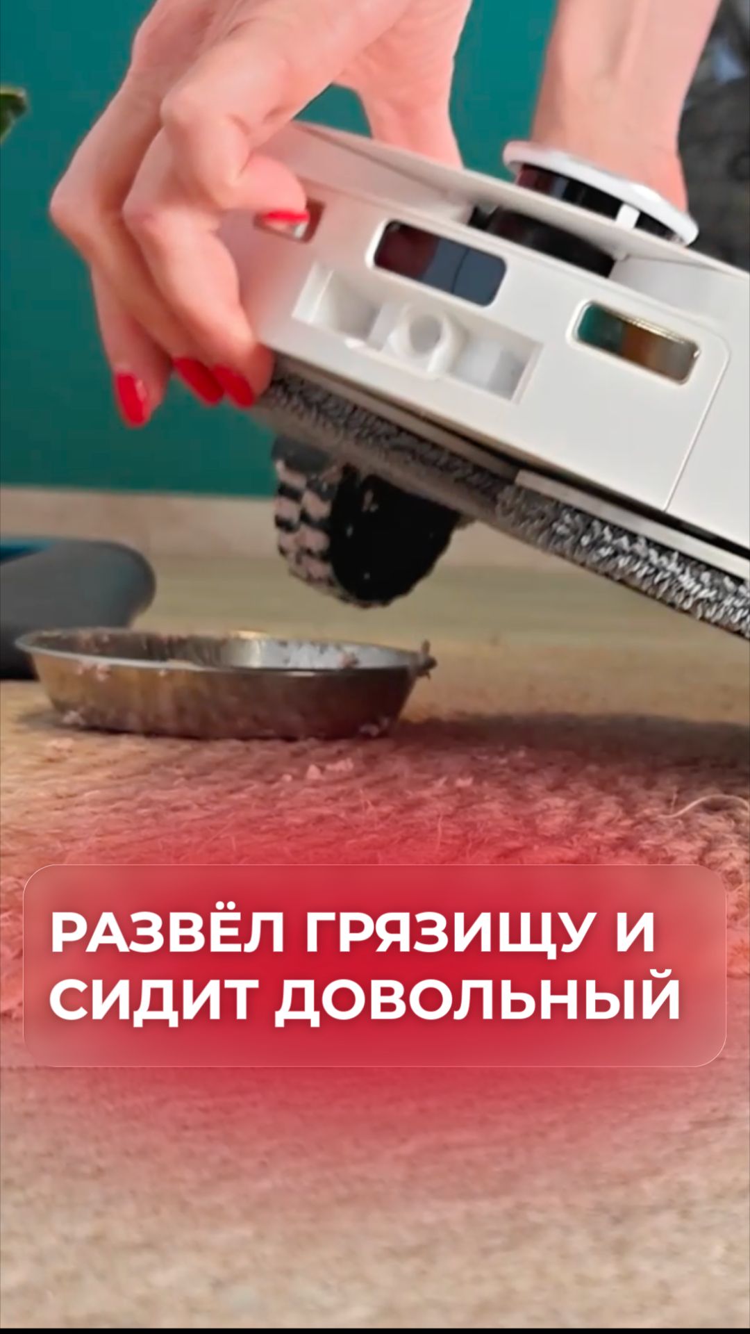 Пылесос ВЛЕЗ в миску с кошачьим кормом. Перешёл с электричества на Royal Canin?