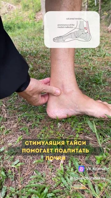 Эдуард Большаков. Цигун о почках.