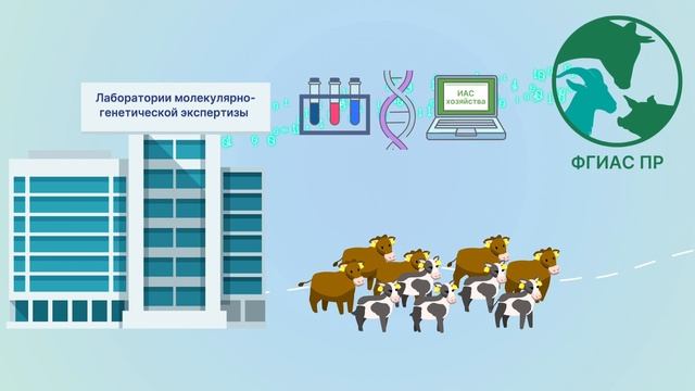 ФГИАС ПР: как работает система?