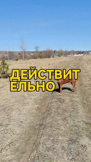 ПЯТЬ УТРА НЕ ДЕЛАЕТ ТЕБЯ УСПЕШНЕЕ