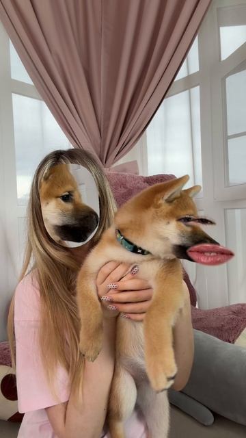 #суперсофи #supersofi